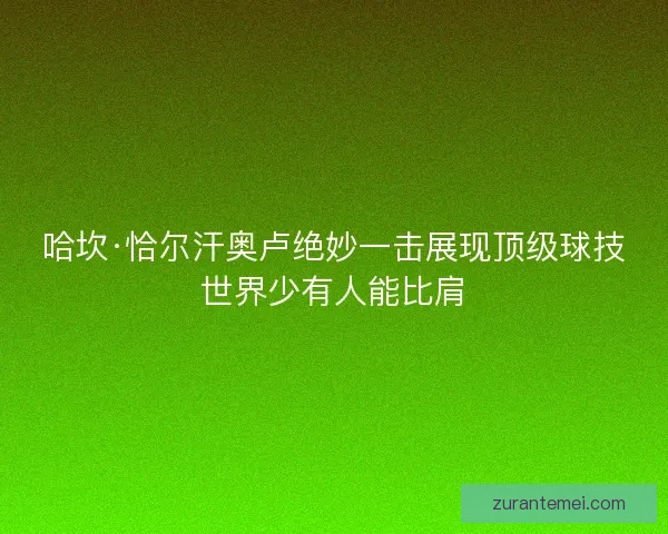 哈坎·恰尔汗奥卢绝妙一击展现顶级球技世界少有人能比肩