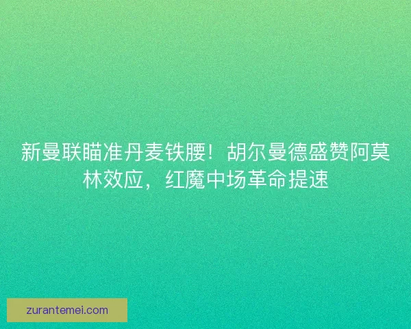 新曼联瞄准丹麦铁腰！胡尔曼德盛赞阿莫林效应，红魔中场革命提速