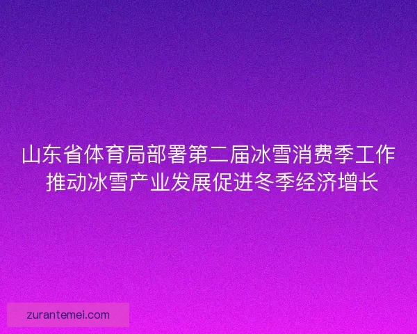 山东省体育局部署第二届冰雪消费季工作 推动冰雪产业发展促进冬季经济增长